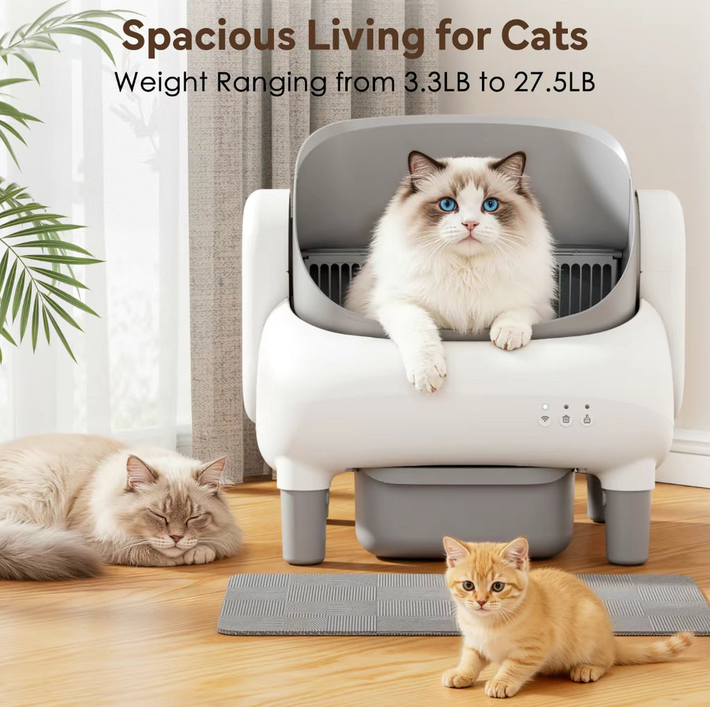 Purra™ Smart Self-Cleaning Litter System