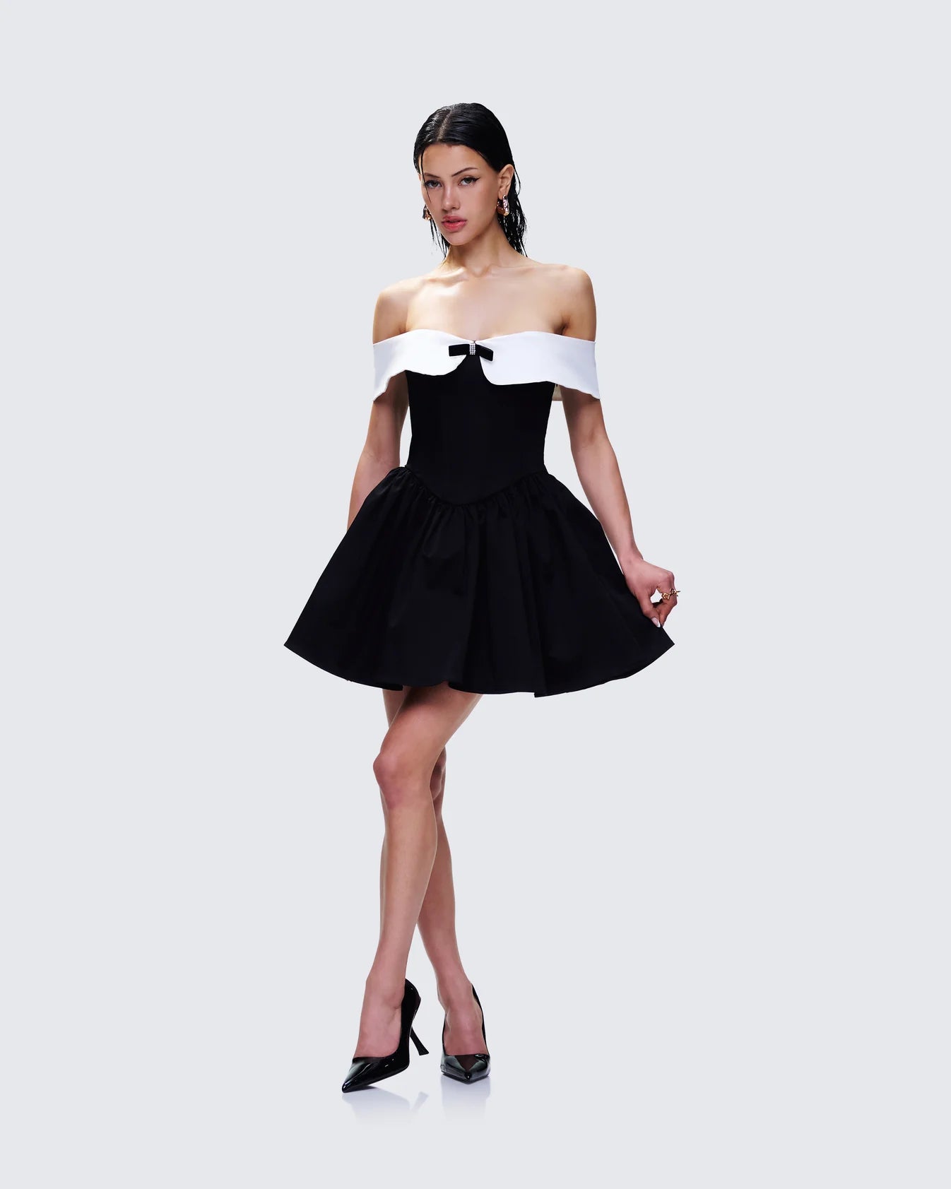 Black Swan Dress